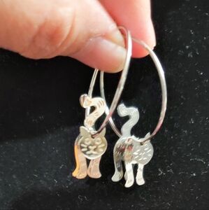 Dangled Hoop Earrings (Used)